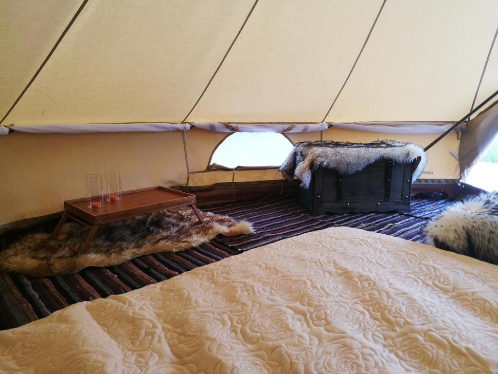 Sokka Holiday Center & Glamping Otepää 外观 照片